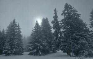 La Molière 1er déc 2025