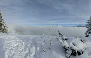 La Molière 1er déc 2025