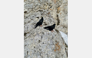 Pic St Michel 8 déc 2025