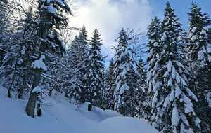 La Ruchère 2 février 2026