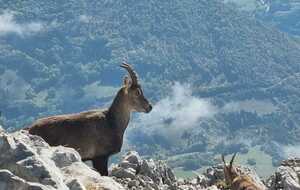 Corrençon Le Pas d'Ernadant 12 oct. 2026