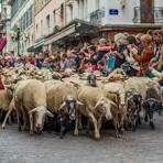 Retour des Alpages à Annecy
