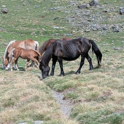 Séjour à Vielha dans le Val d'Aran en septembre 2026